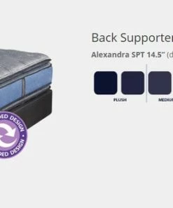 King Mattress Sets Spring Air Royale All Seasons King Mattress Set