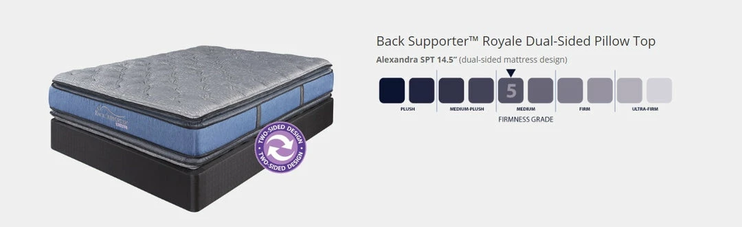 Spring Air Royale Back Supporter Queen Mattress Set